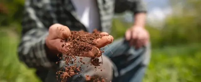 Hands holding soil